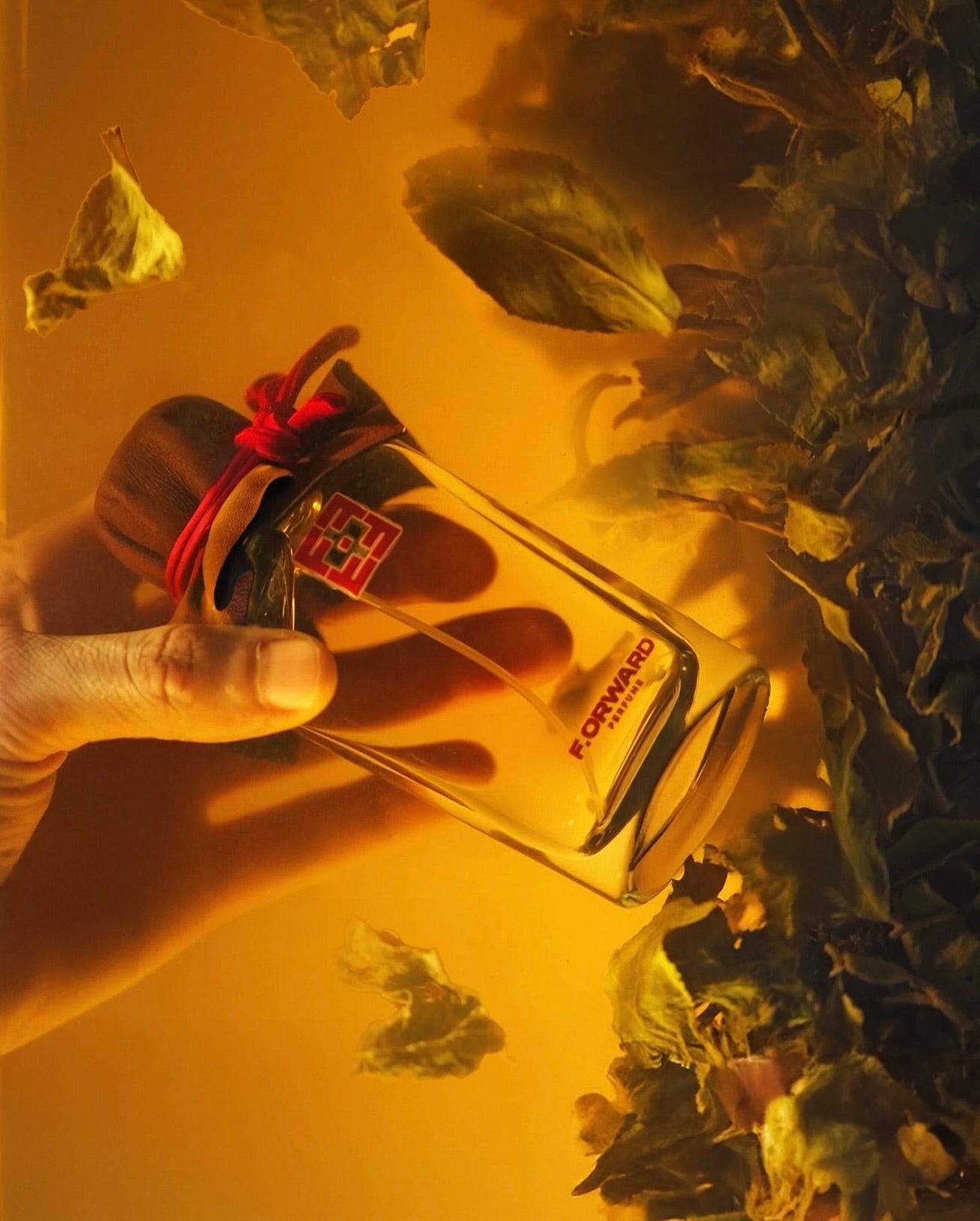 F.ORWARD THE DRAGON'S CROWN
